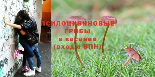альфа пвп Нефтекумск