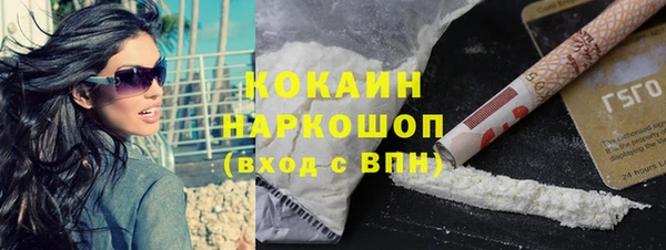 МДПВ Нефтегорск