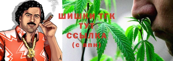 МДПВ Нефтегорск