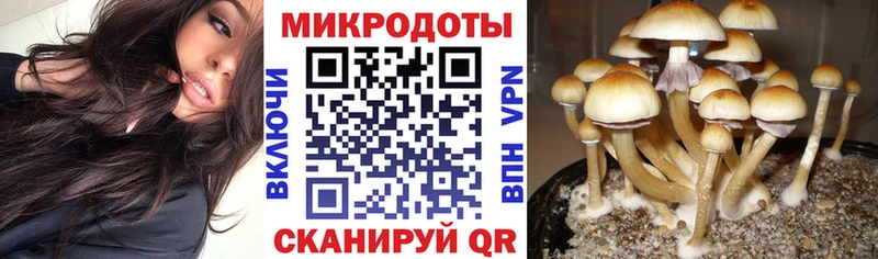 Купить где  Мензелинск  Галлюциногенные грибы ЛСД 